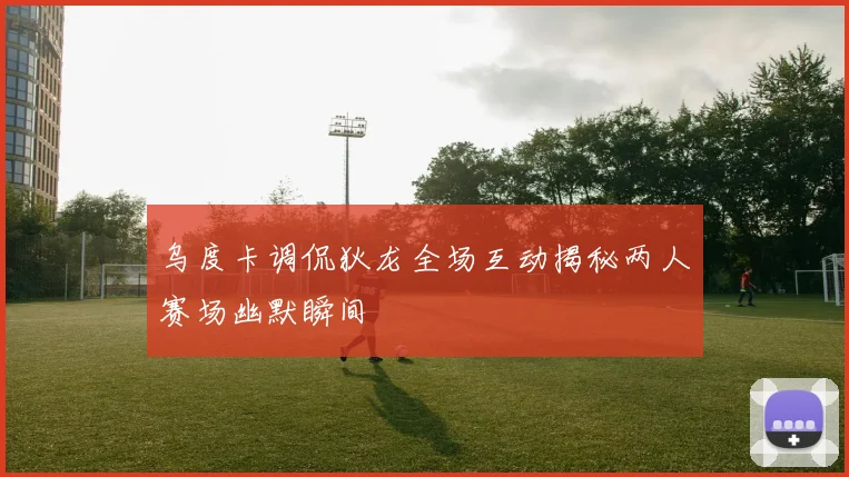 乌度卡调侃狄龙全场互动揭秘两人赛场幽默瞬间