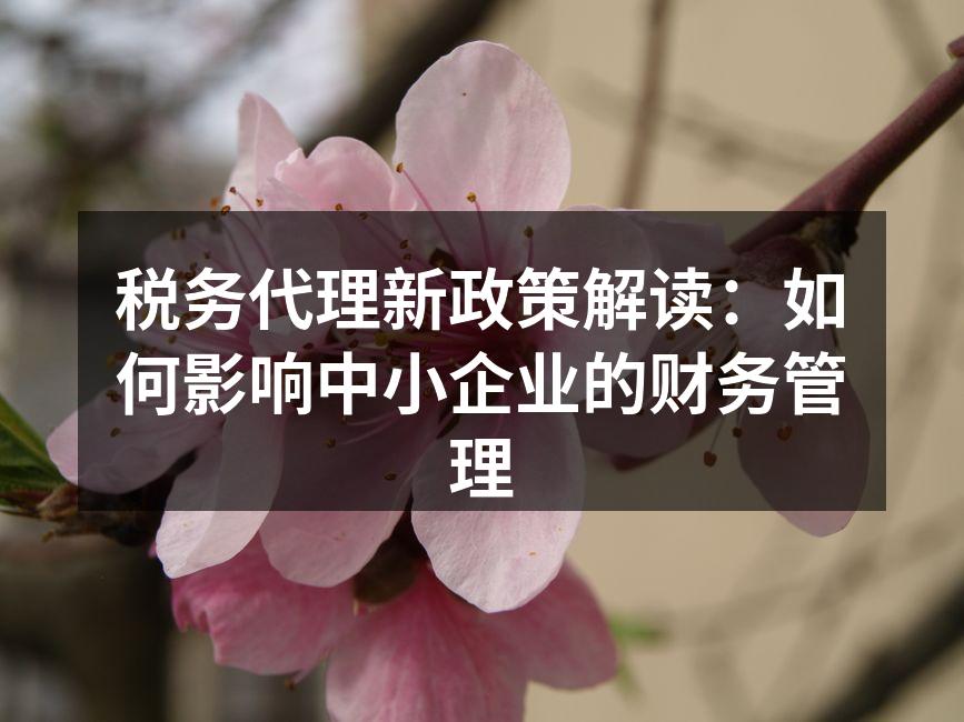 税务代理助力中小企业发展