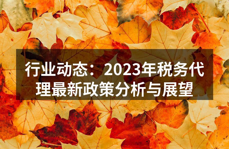 行业动态：2023年税务代理最新政策分析与展望