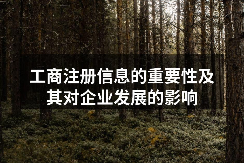 工商注册信息的重要性及其对企业发展的影响