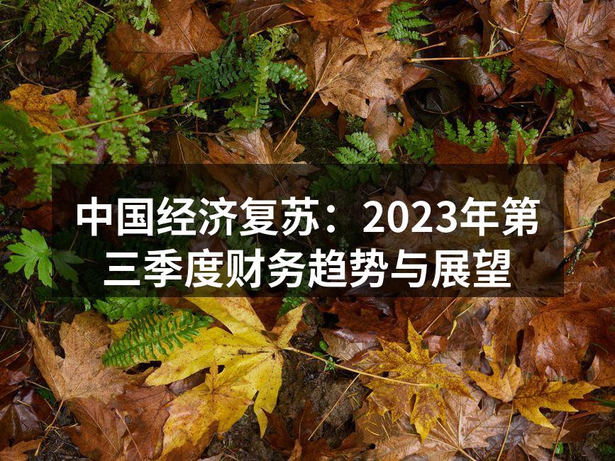 中国经济复苏：2023年第三季度财务趋势与展望